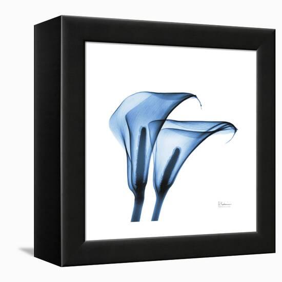 Indigo Calla Lilies C-Albert Koetsier-Framed Stretched Canvas