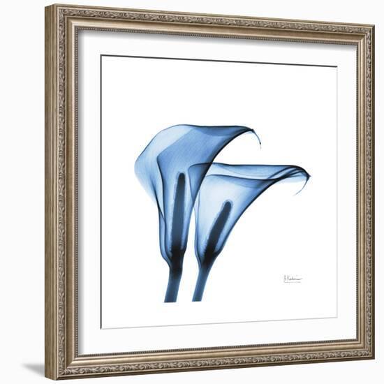 Indigo Calla Lilies C-Albert Koetsier-Framed Premium Giclee Print