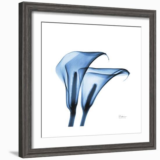 Indigo Calla Lilies C-Albert Koetsier-Framed Premium Giclee Print