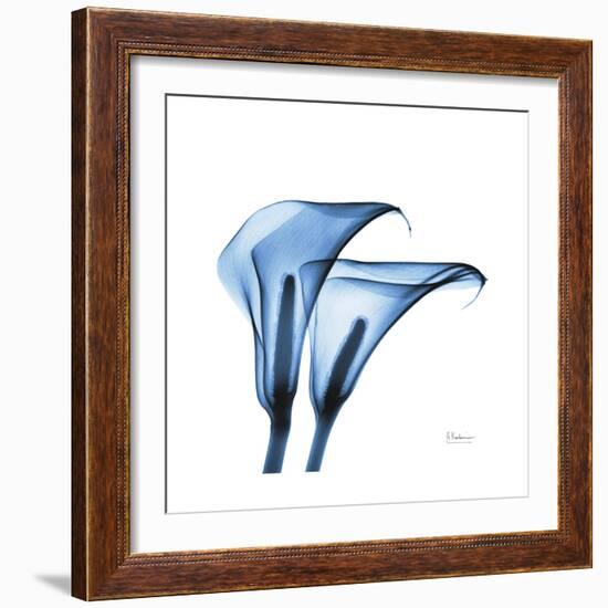 Indigo Calla Lilies C-Albert Koetsier-Framed Premium Giclee Print