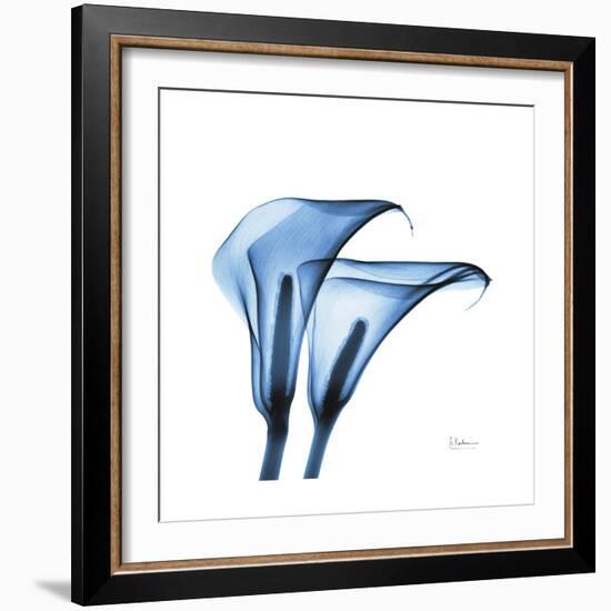 Indigo Calla Lilies C-Albert Koetsier-Framed Premium Giclee Print