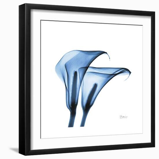 Indigo Calla Lilies C-Albert Koetsier-Framed Premium Giclee Print