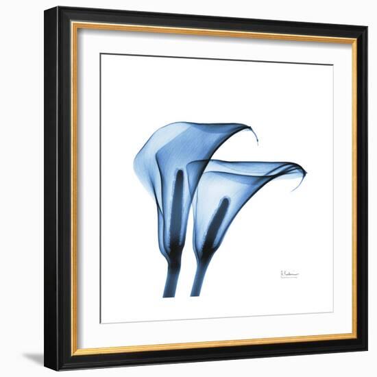 Indigo Calla Lilies C-Albert Koetsier-Framed Premium Giclee Print