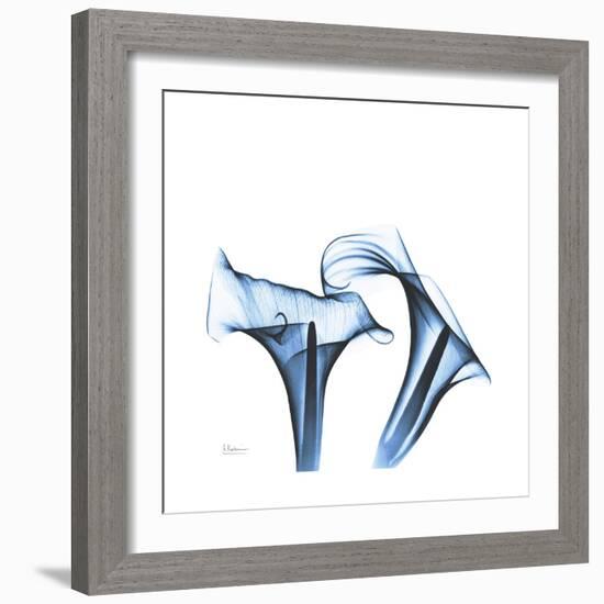 Indigo Calla Lilies D-Albert Koetsier-Framed Premium Giclee Print