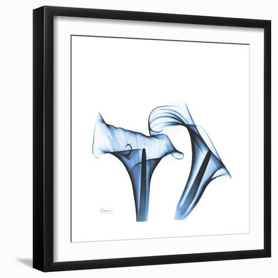 Indigo Calla Lilies D-Albert Koetsier-Framed Premium Giclee Print