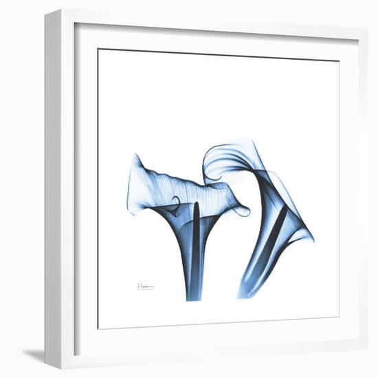 Indigo Calla Lilies D-Albert Koetsier-Framed Premium Giclee Print