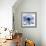 Indigo Chrysanthemum-Albert Koetsier-Framed Art Print displayed on a wall