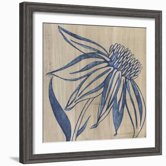 Indigo Coneflower-Chariklia Zarris-Framed Art Print