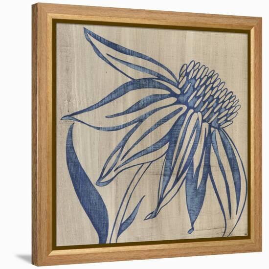 Indigo Coneflower-Chariklia Zarris-Framed Stretched Canvas