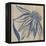 Indigo Coneflower-Chariklia Zarris-Framed Stretched Canvas