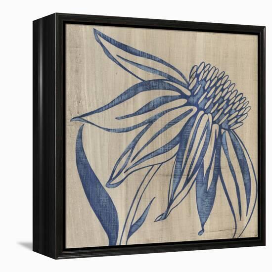 Indigo Coneflower-Chariklia Zarris-Framed Stretched Canvas