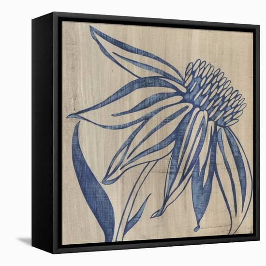 Indigo Coneflower-Chariklia Zarris-Framed Stretched Canvas