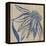 Indigo Coneflower-Chariklia Zarris-Framed Stretched Canvas