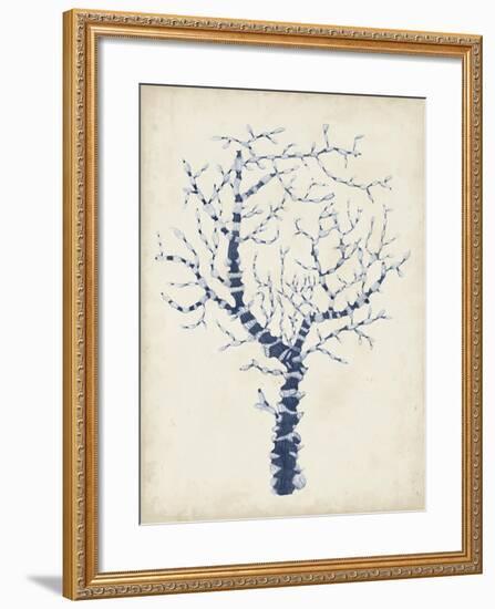 Indigo Coral II-Vision Studio-Framed Art Print