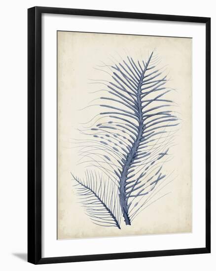 Indigo Coral V-Vision Studio-Framed Art Print