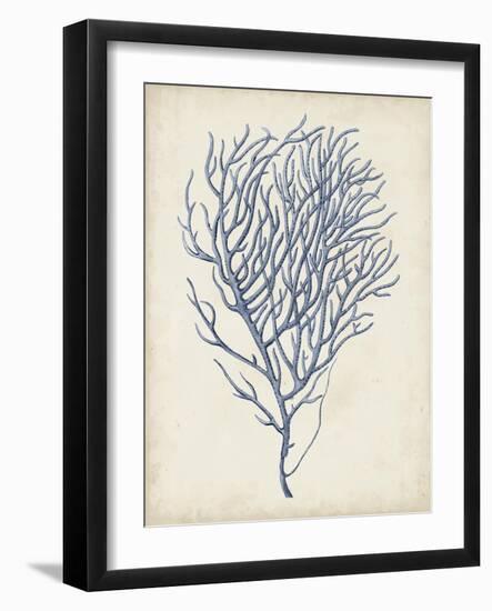 Indigo Coral VI-Vision Studio-Framed Art Print