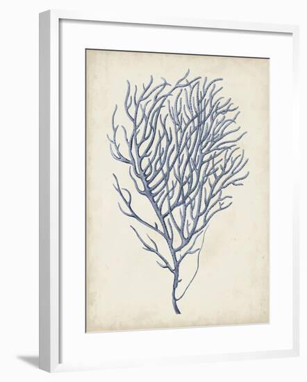 Indigo Coral VI-Vision Studio-Framed Art Print