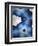 Indigo Daydream III-Renee W^ Stramel-Framed Art Print