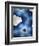 Indigo Daydream III-Renee W^ Stramel-Framed Art Print