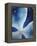 Indigo Daydream V-Renee W. Stramel-Framed Stretched Canvas