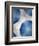 Indigo Daydream VI-Renee W. Stramel-Framed Art Print