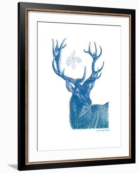 Indigo Deer I-Gwendolyn Babbitt-Framed Art Print