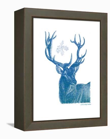 Indigo Deer I-Gwendolyn Babbitt-Framed Stretched Canvas