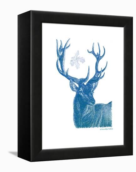 Indigo Deer I-Gwendolyn Babbitt-Framed Stretched Canvas