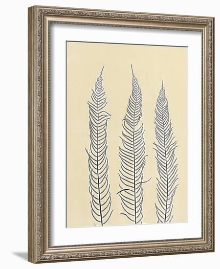 Indigo Fern 2-Mary Margaret Briggs-Framed Giclee Print