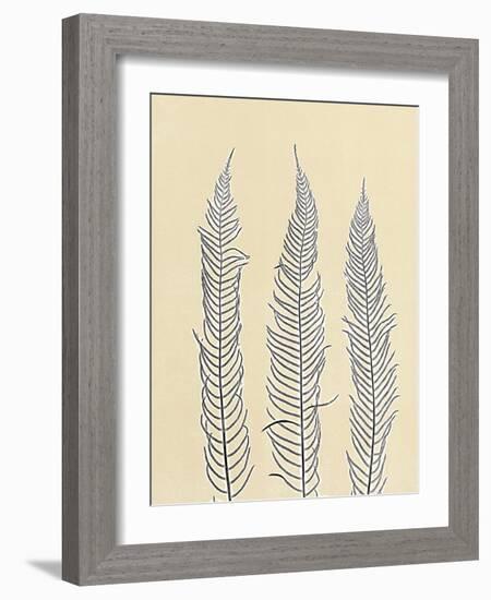 Indigo Fern 2-Mary Margaret Briggs-Framed Giclee Print