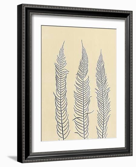 Indigo Fern 2-Mary Margaret Briggs-Framed Giclee Print