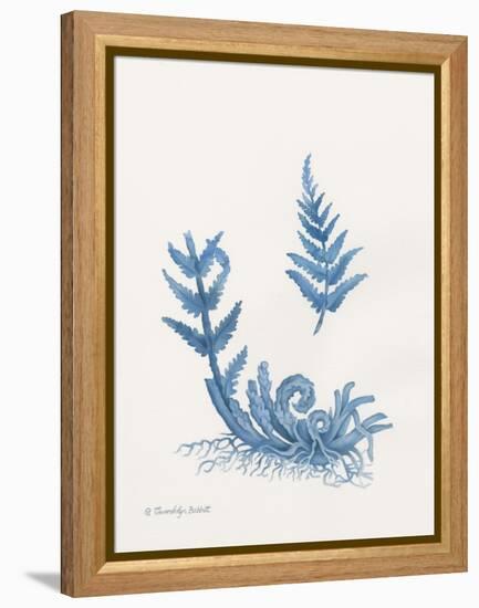 Indigo Fern I-Gwendolyn Babbitt-Framed Stretched Canvas