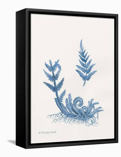 Indigo Fern I-Gwendolyn Babbitt-Framed Stretched Canvas