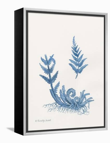 Indigo Fern I-Gwendolyn Babbitt-Framed Stretched Canvas