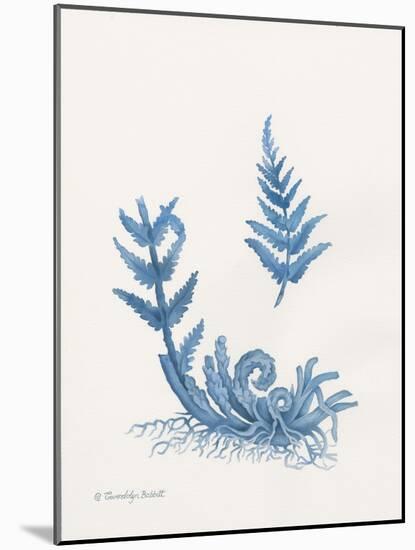 Indigo Fern I-Gwendolyn Babbitt-Mounted Art Print