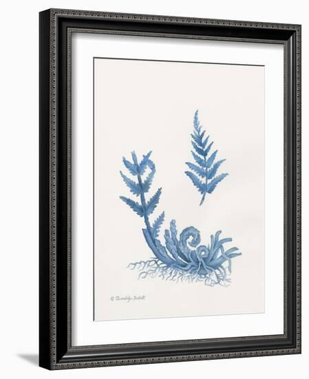 Indigo Fern I-Gwendolyn Babbitt-Framed Art Print