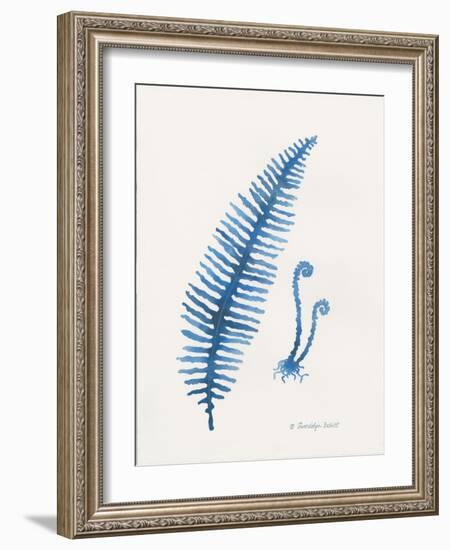 Indigo Fern II-Gwendolyn Babbitt-Framed Art Print