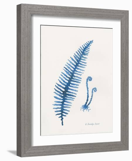 Indigo Fern II-Gwendolyn Babbitt-Framed Art Print