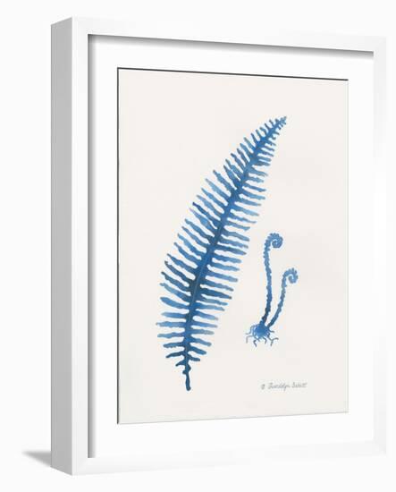 Indigo Fern II-Gwendolyn Babbitt-Framed Art Print