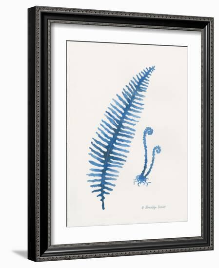 Indigo Fern II-Gwendolyn Babbitt-Framed Art Print