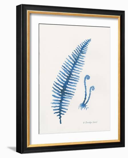 Indigo Fern II-Gwendolyn Babbitt-Framed Art Print