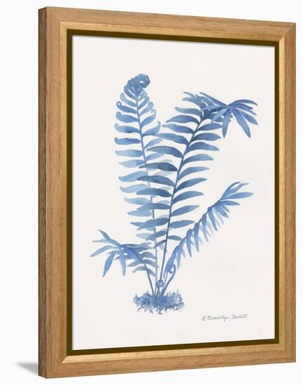 Indigo Fern III-Gwendolyn Babbitt-Framed Stretched Canvas