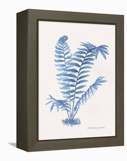 Indigo Fern III-Gwendolyn Babbitt-Framed Stretched Canvas