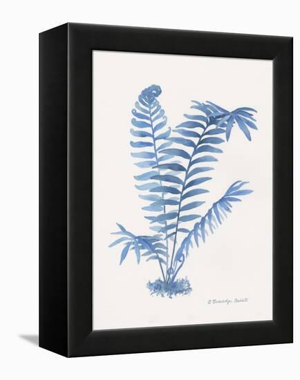 Indigo Fern III-Gwendolyn Babbitt-Framed Stretched Canvas