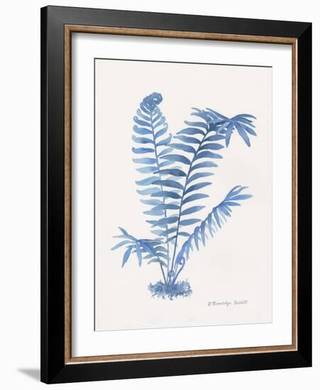 Indigo Fern III-Gwendolyn Babbitt-Framed Art Print