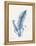 Indigo Fern IV-Gwendolyn Babbitt-Framed Stretched Canvas