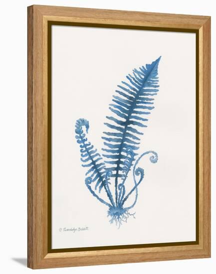 Indigo Fern IV-Gwendolyn Babbitt-Framed Stretched Canvas