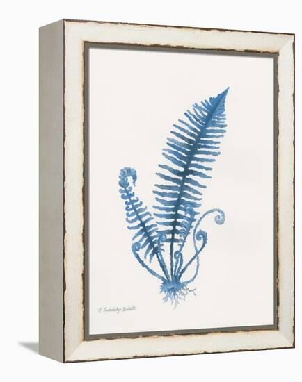 Indigo Fern IV-Gwendolyn Babbitt-Framed Stretched Canvas