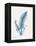 Indigo Fern IV-Gwendolyn Babbitt-Framed Stretched Canvas