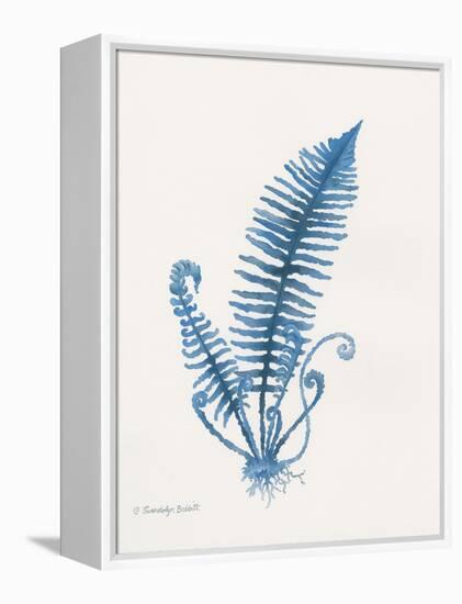 Indigo Fern IV-Gwendolyn Babbitt-Framed Stretched Canvas